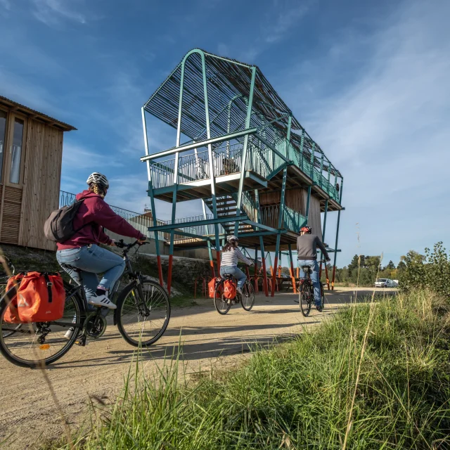 The Loire by bike: itinerary in the Nantes vineyards