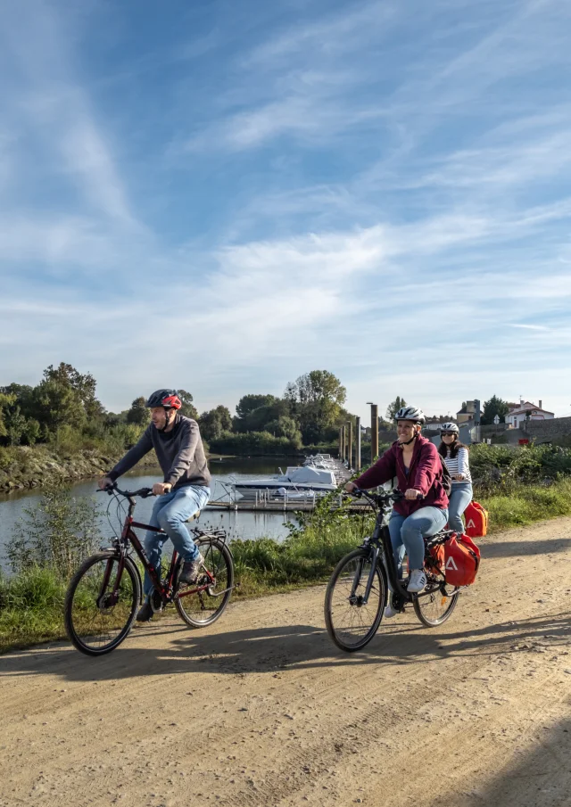 Activities in the Vignoble Nantais: cycling on the Loire with Talbicyclette