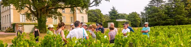 Wine Tours : Escapade en Muscadet
