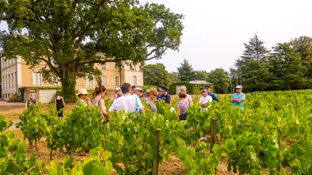 Wine Tours: Escapade en Muscadet