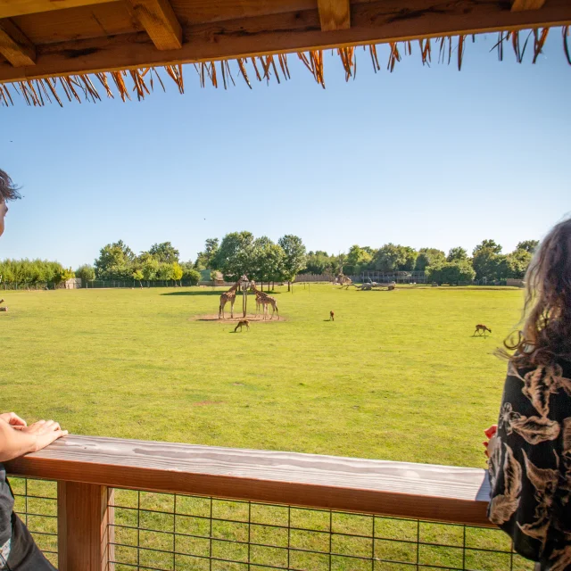 Réunions et événements professionnels : séminaire au Zoo de la Boissière du Doré