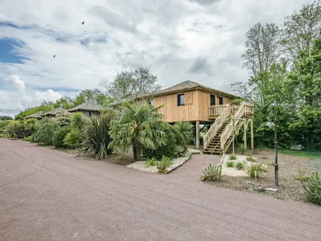 Réunions et événements professionnels : séminaire au Zoo de la Boissière du Doré