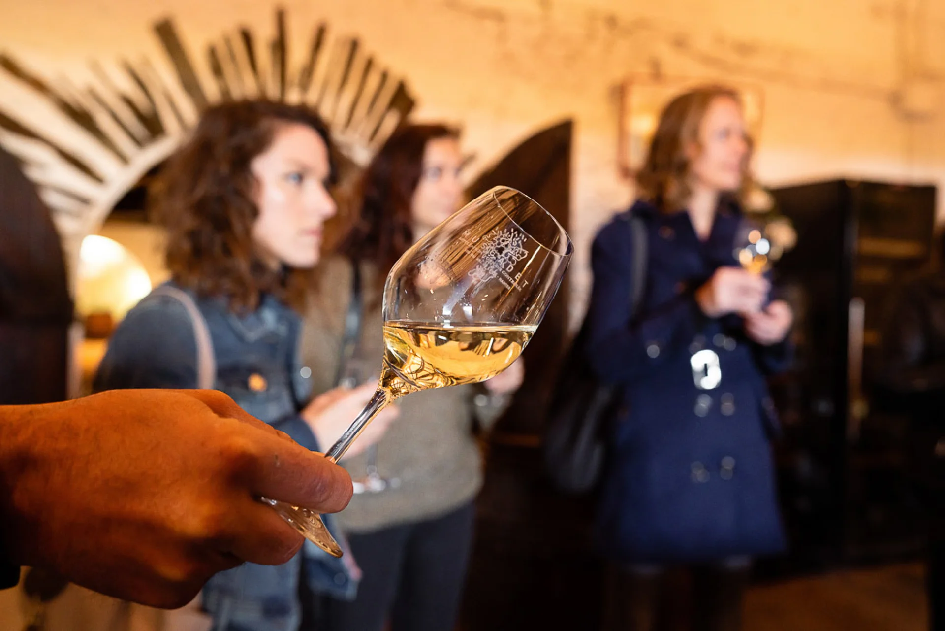 Dégustation de Muscadet