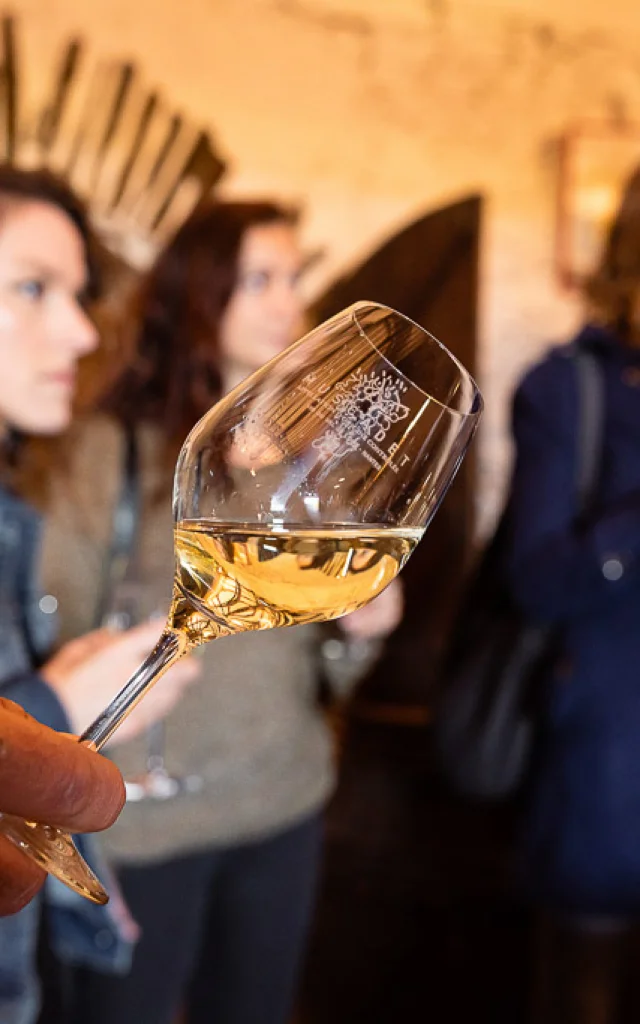 Dégustation de Muscadet