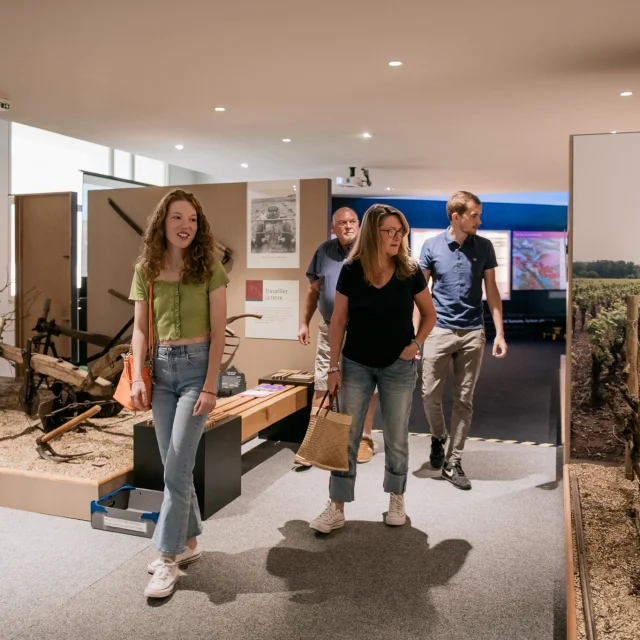 Muscadet tasting weekend near Nantes: Visit the Musée du Vignoble Nantais