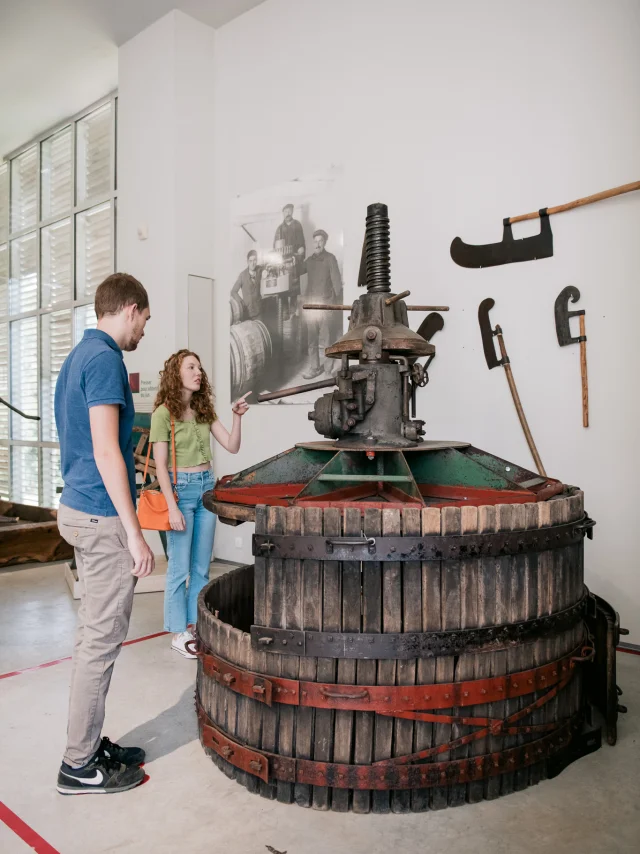 Muscadet tasting weekend near Nantes: Visit the Musée du Vignoble Nantais