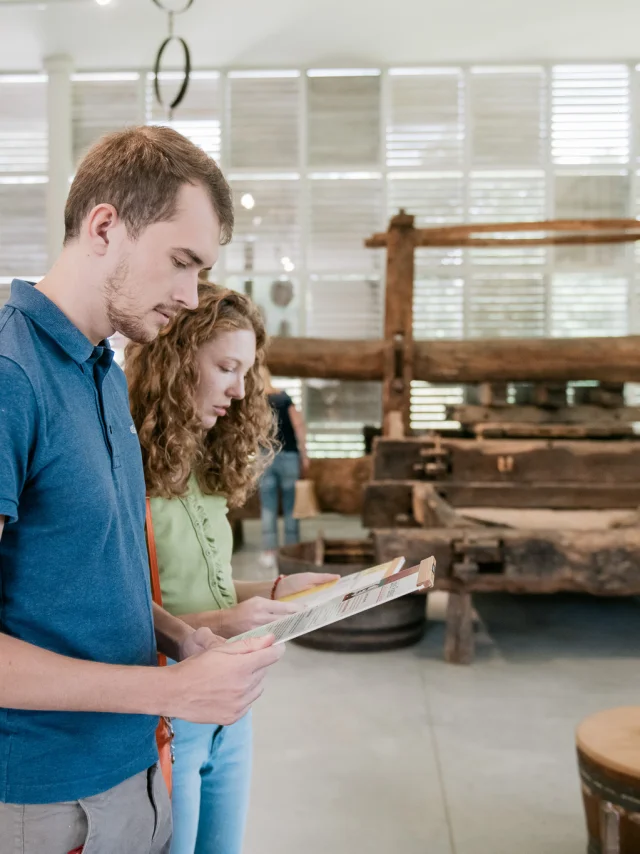 Muscadet tasting weekend near Nantes: Visit the Musée du Vignoble Nantais