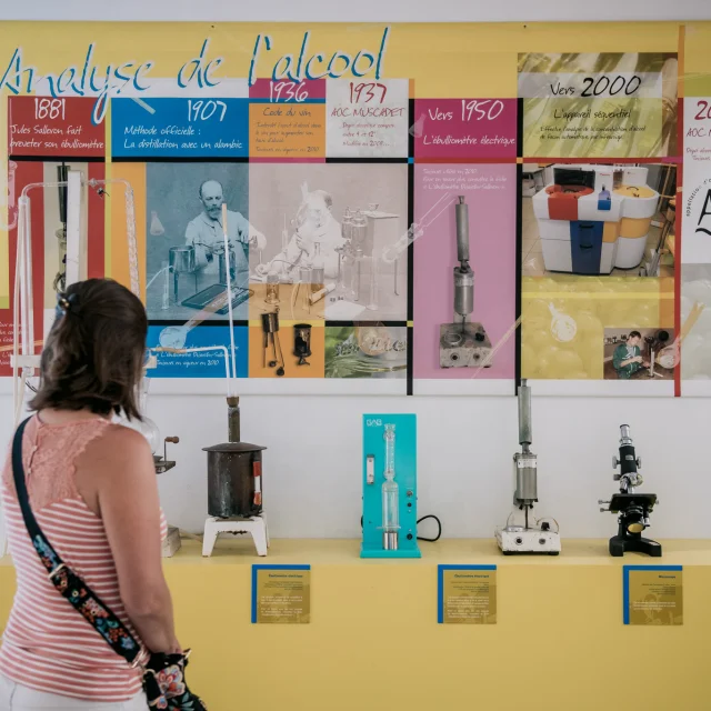 Our must-sees: The Vignoble Nantais Museum