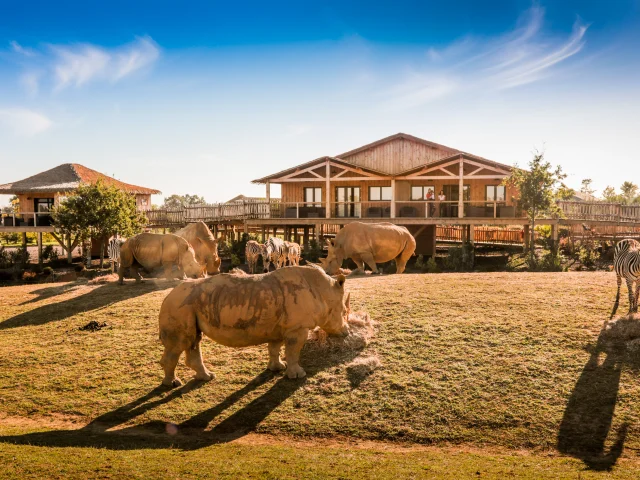 Our must-sees: Boissière du Doré Zoo