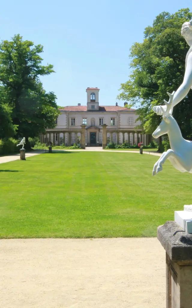 Nos incontournables : Le Voyage dans le Vignoble