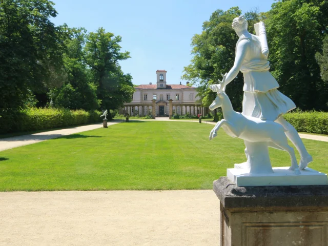 Nos incontournables : Le Voyage dans le Vignoble