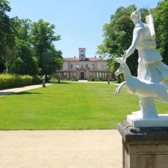 Our must-sees: Journey through the vineyards