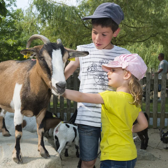 Our must-sees: Boissière du Doré Zoo