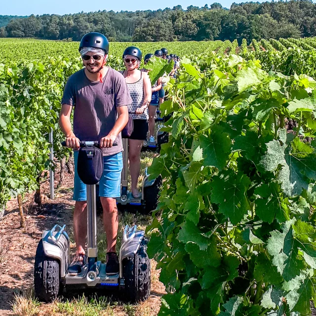 Activities around Muscadet : Vineyard walks