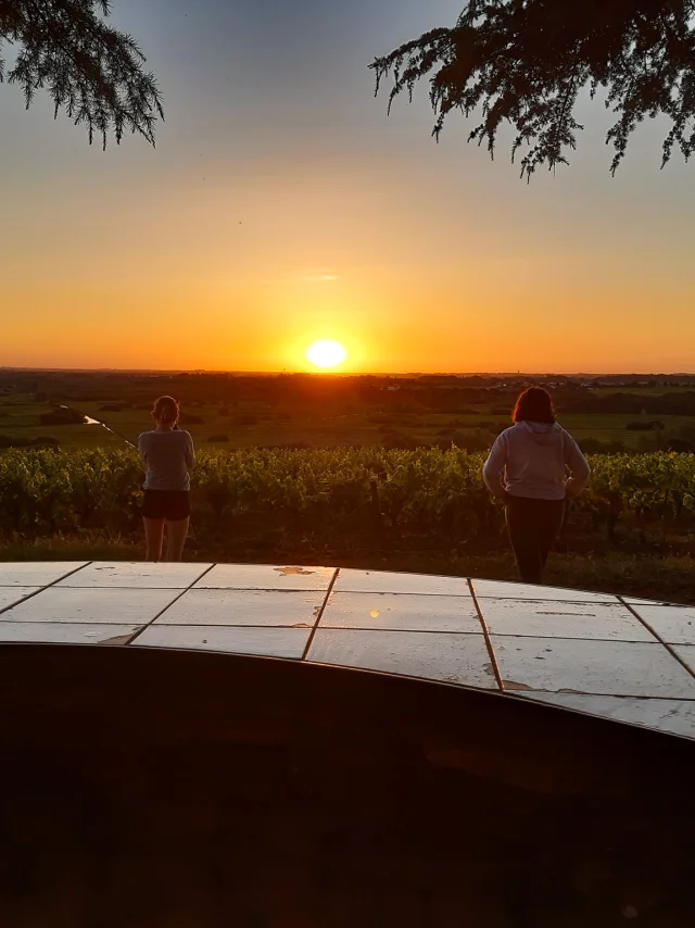 Weekend hike near Nantes: views over the vineyards, the Loire Valley and the city of Nantes