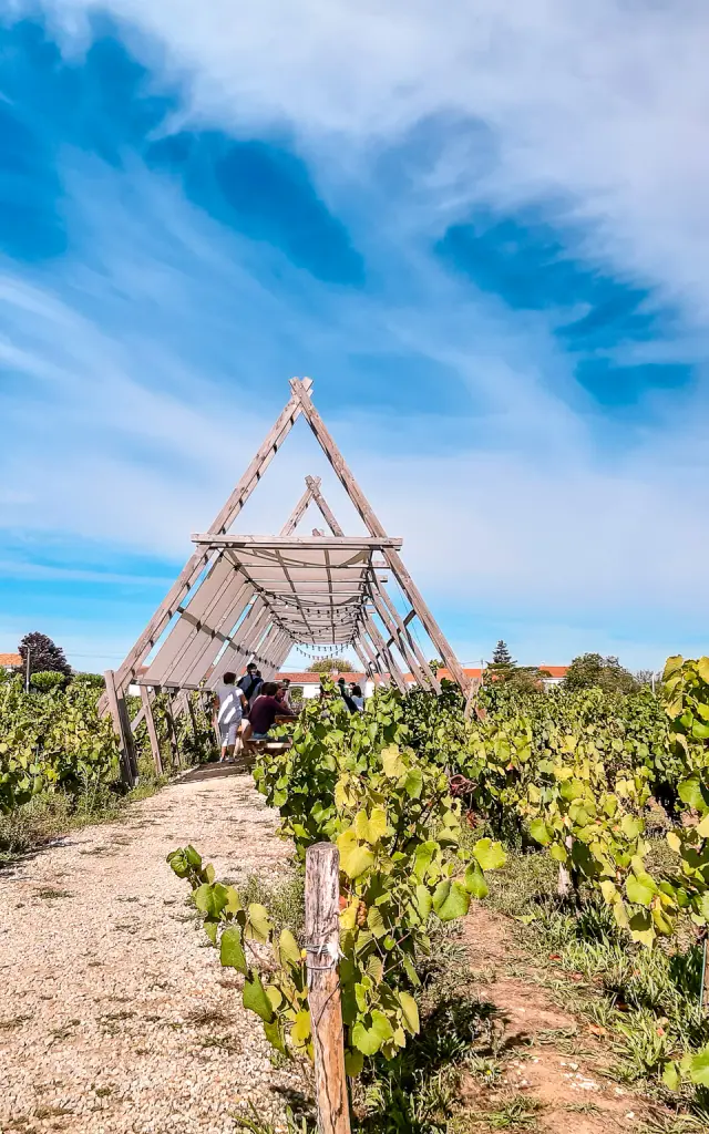 Guinguettes in the Vignoble Nantais: Guinguette de la Huchette