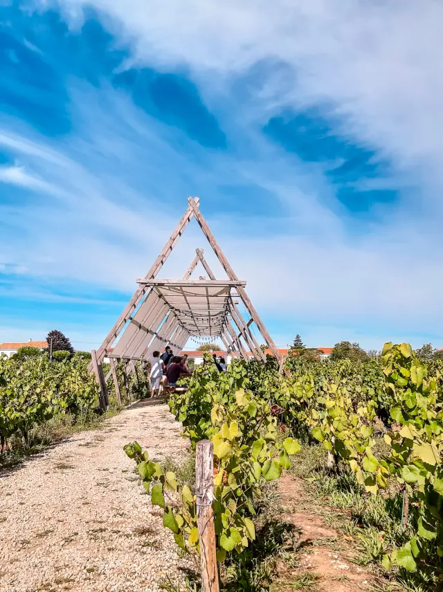 Les Guinguettes dans le Vignoble Nantais : Guinguette de la Huchette