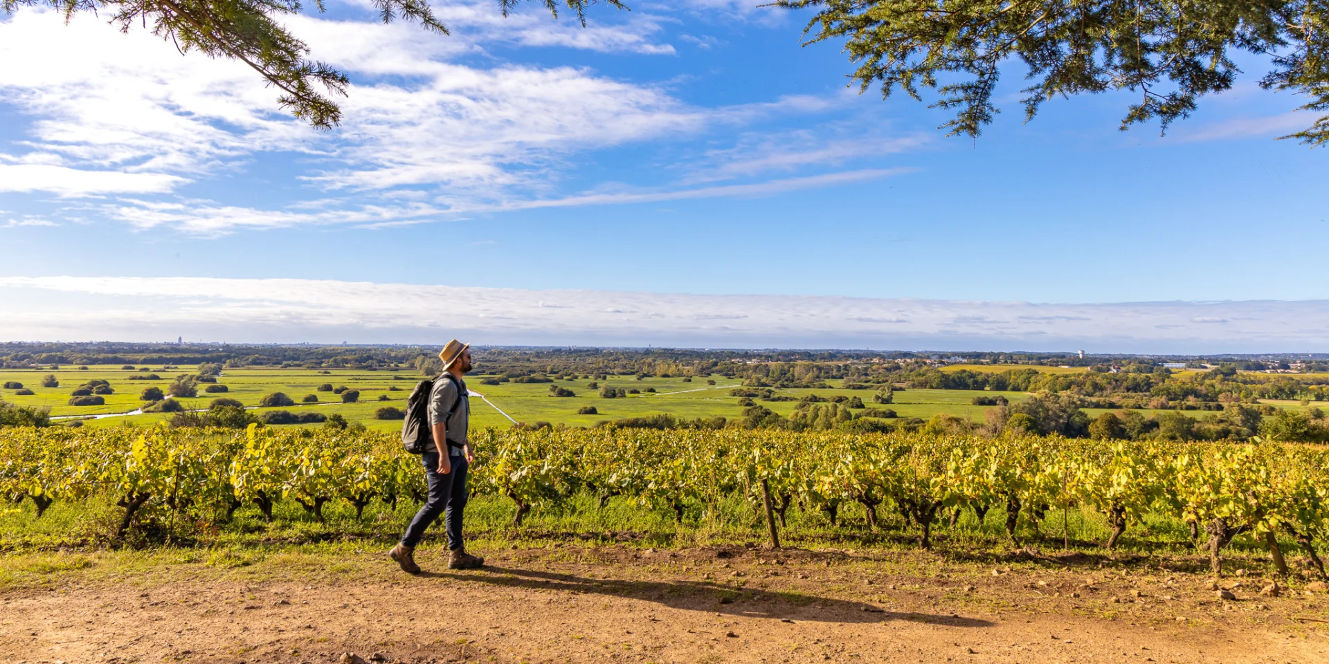 weekend hiking near Nantes : View of the vineyards and Goulaine marshes from the Butte de la Roche