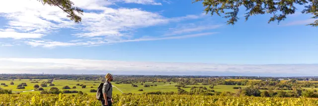 weekend hiking near Nantes : View of the vineyards and Goulaine marshes from the Butte de la Roche