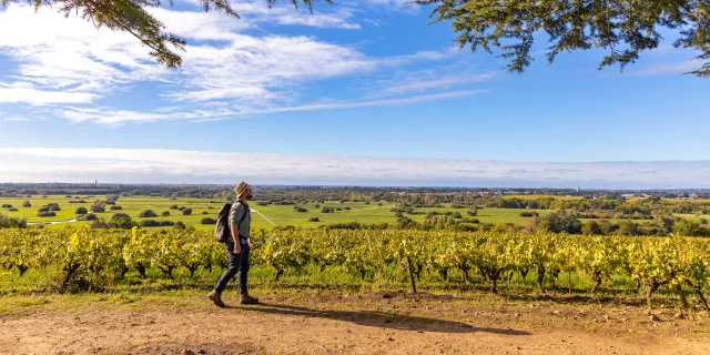 weekend hiking near Nantes : View of the vineyards and Goulaine marshes from the Butte de la Roche
