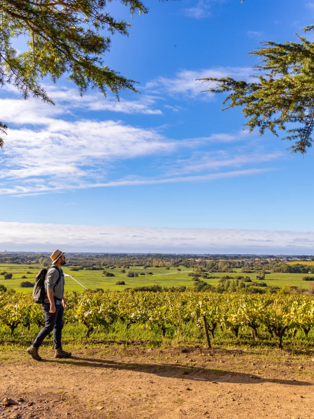 weekend hiking near Nantes : View of the vineyards and Goulaine marshes from the Butte de la Roche