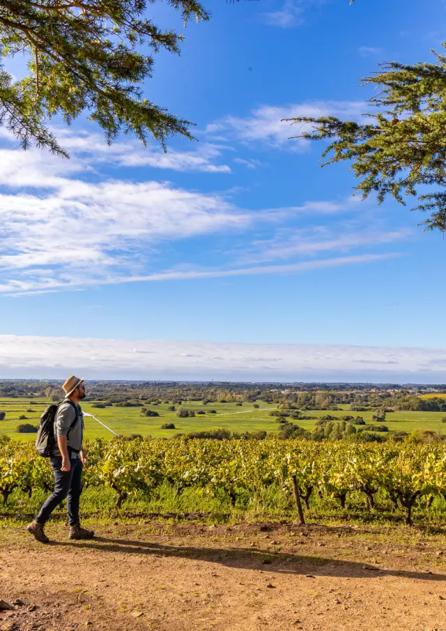 week-end rando près de Nantes : Vue sur les vignes et le marais de Goulaine depuis la Butte de la Roche