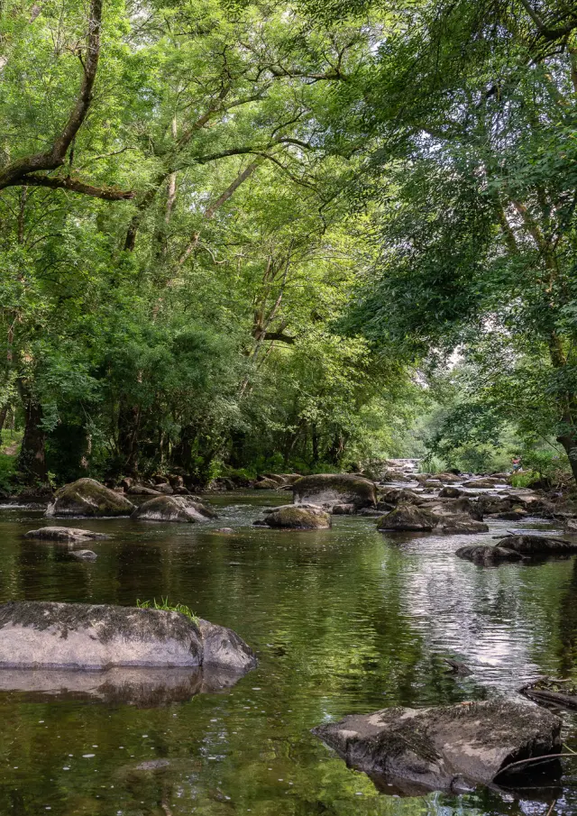 Week-end rando près de Nantes : GR de Pays Sèvre et Maine, boucle du vignoble, en bord de Maine