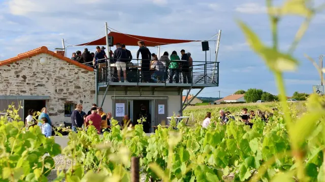 Les Guinguettes dans le Vignoble Nantais : Guinguette La Cabane, caveau vigneron à Mouzillon