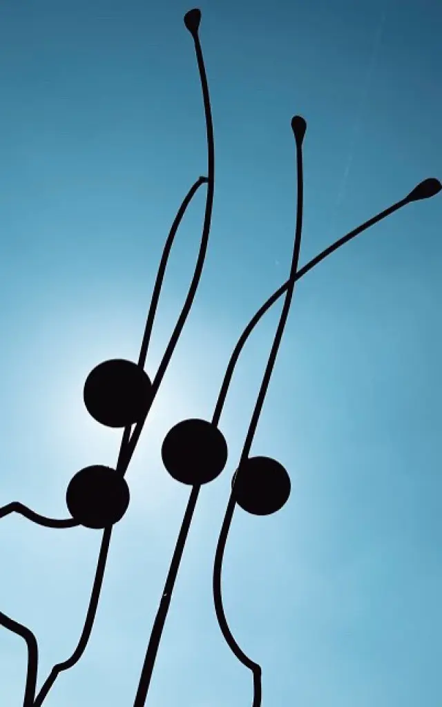 Temps forts dans le Vignoble Nantais : Le Nez en l'Air