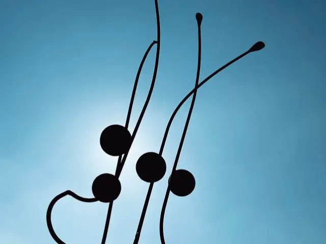 Temps forts dans le Vignoble Nantais : Le Nez en l'Air