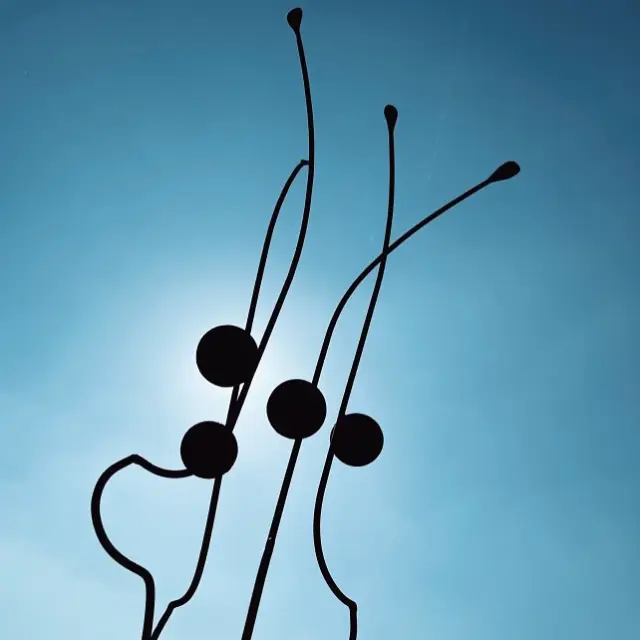 Highlights in the Vignoble Nantais: Le Nez en l'Air