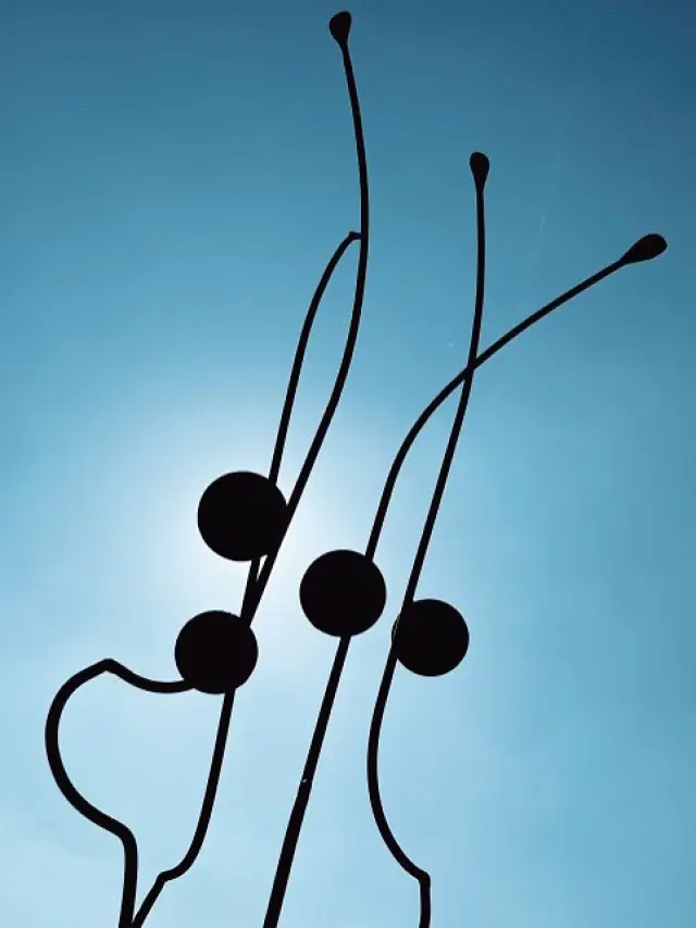 Temps forts dans le Vignoble Nantais : Le Nez en l'Air