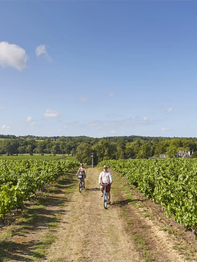 An idea for a weekend of cycling and canoeing in the Vignoble Nantais: cycling the Vignoble à Vélo loops