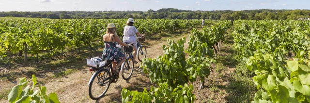 An idea for a weekend of cycling and canoeing in the Vignoble Nantais region