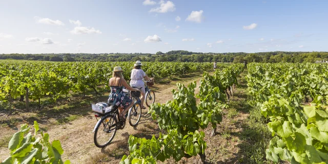 An idea for a weekend of cycling and canoeing in the Vignoble Nantais region