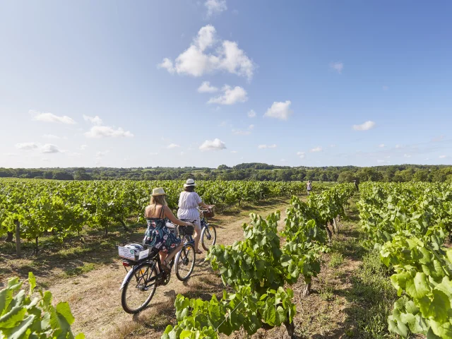 Une idée de week-end sportif à vélo et canoë dans le Vignoble Nantais