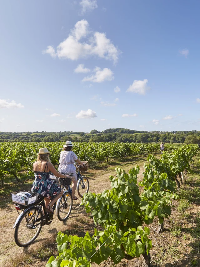 An idea for a weekend of cycling and canoeing in the Vignoble Nantais region