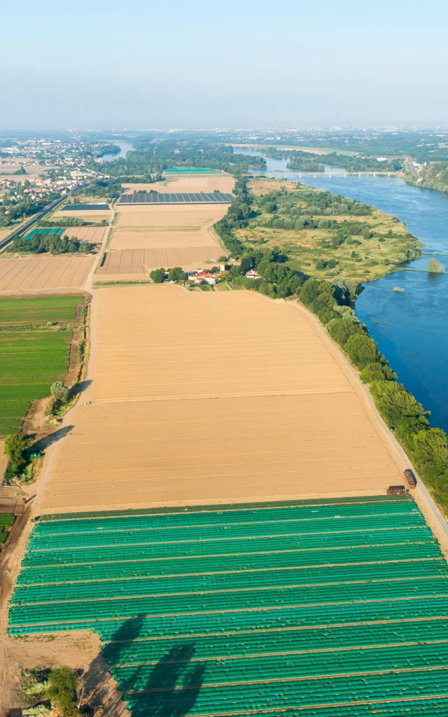 Market gardening and local flavours: market gardening in Saint-Julien-de-Concelles