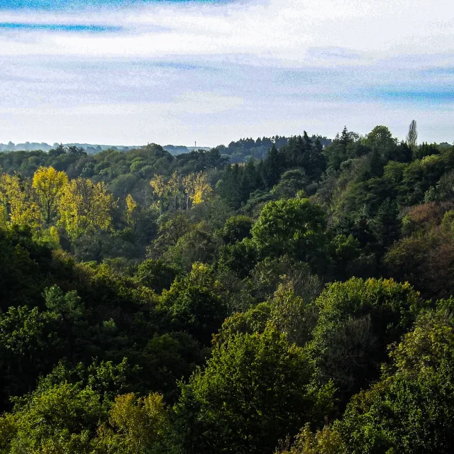 Our must-sees: the Porte vue lookout at Château-Thébaud by Le Voyage dans le Vignoble