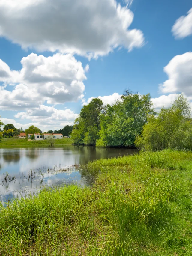 Heritage break near Nantes: discover the natural heritage of the Goulaine marshes, a Natura 2000 area