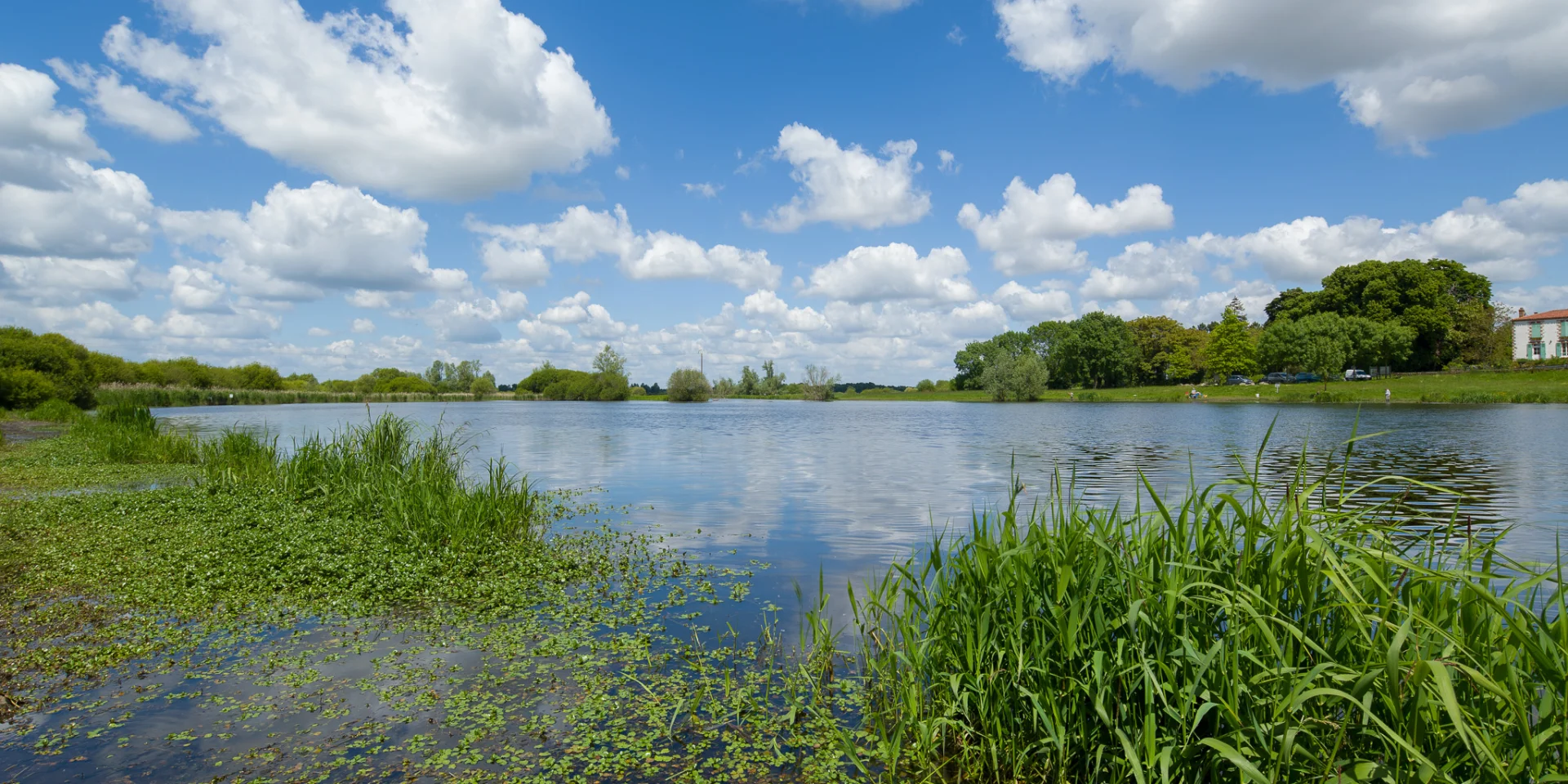Heritage break near Nantes: discover the natural heritage of the Goulaine marshes, a Natura 2000 area