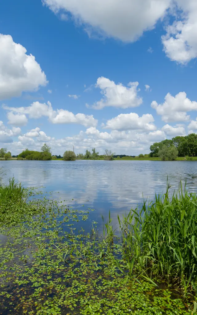 Heritage break near Nantes: discover the natural heritage of the Goulaine marshes, a Natura 2000 area