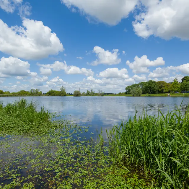 Séjour patrimoine près de Nantes : découvrir le patrimoine naturel du marais de goulaine, zone natura 2000