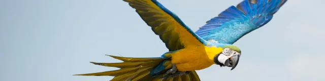 Our must-sees: Boissière du Doré Zoo