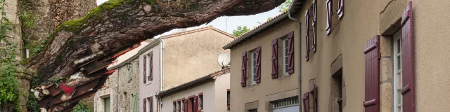 Our must-sees on the Hellfest site: works of art in the historic heart of Clisson