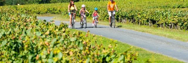 Family weekend in the Vignoble Nantais: cycling with the kids