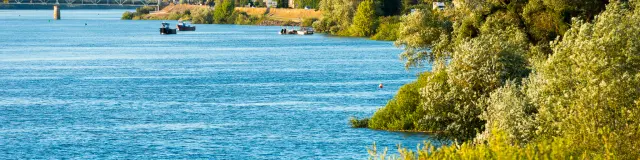 Our must-sees: the banks of the Loire in the Nantes vineyards