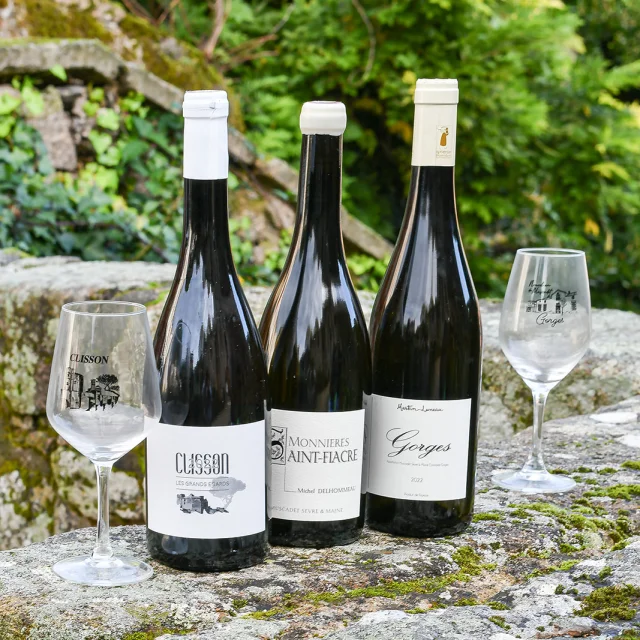 Terre maraîchère et Saveurs locales : Crus communeaux du Vignoble Nantais