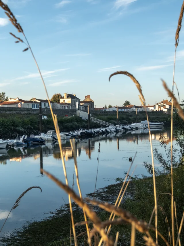 Our must-sees: the banks of the Loire in the Nantes vineyards
