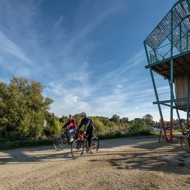Se déplacer dans le Vignoble Nantais en voiture